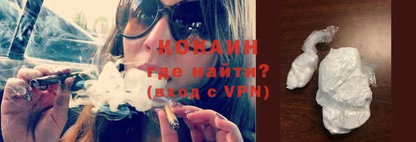 сатива Аркадак