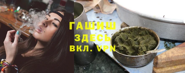сатива Аркадак