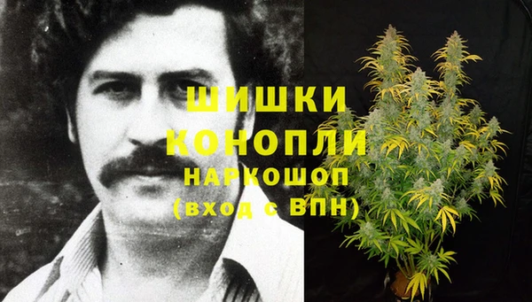 сатива Аркадак