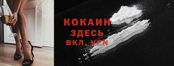 сатива Аркадак