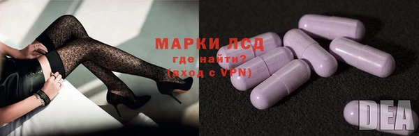 сатива Аркадак