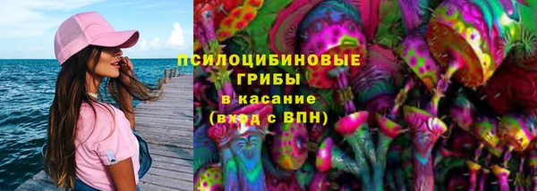 сатива Аркадак