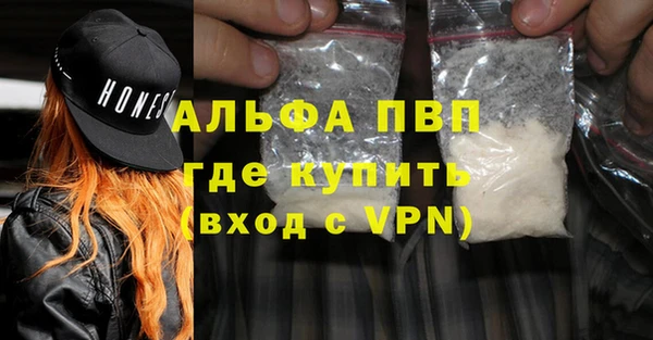 сатива Аркадак