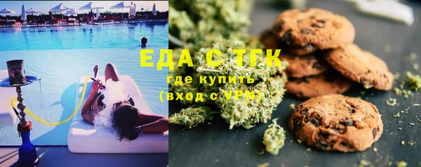 индика Армянск