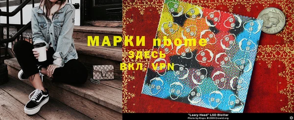 сатива Аркадак